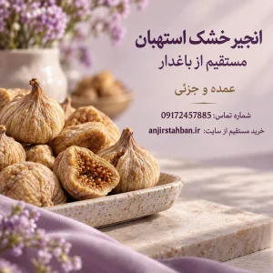 انجیر خشک استهبان مناسب پذیرایی و هدیه